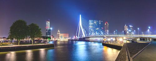 Erasmus bridge skyline
