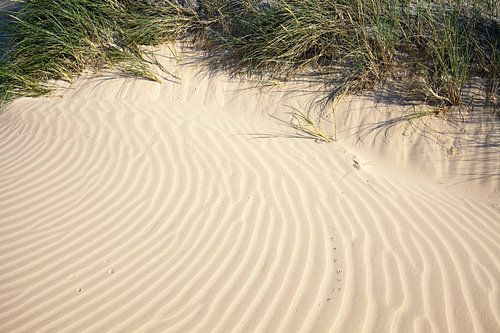 Dune
