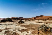 The Deadvlei