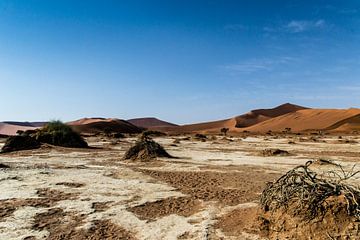 The Deadvlei by Sander RB