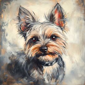 Yorkshire Terrier sur Jutta Maria Pusl