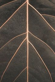 Golden Veins sur Floortje Louise