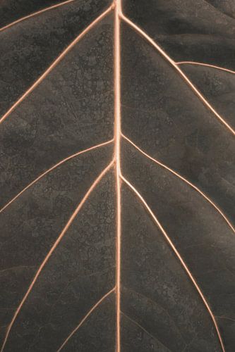 Blad met Gouden Lijnen