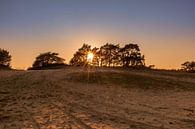 Gouden uur bij zandverstuiving met zonnestralen van Rick van de Kraats thumbnail