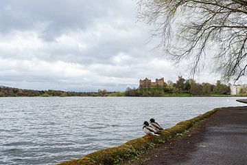 Linlithgow Palace by Cilia Brandts
