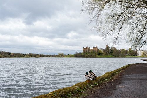 Linlithgow Palace