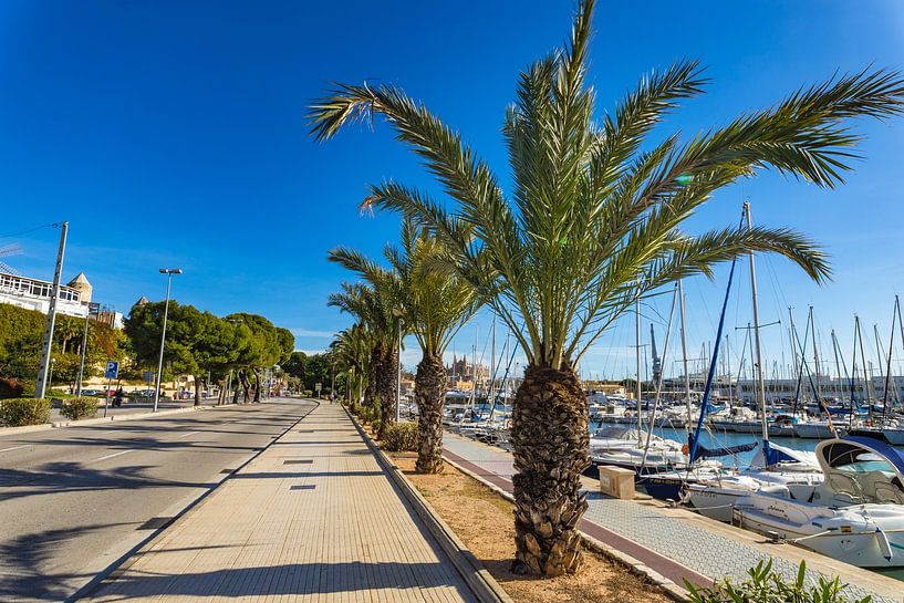 Palma de Mallorca Stadtzentrum Straße und Bürgersteig an der Küste des Yachthafens, Spanien Balearis von Alex Winter