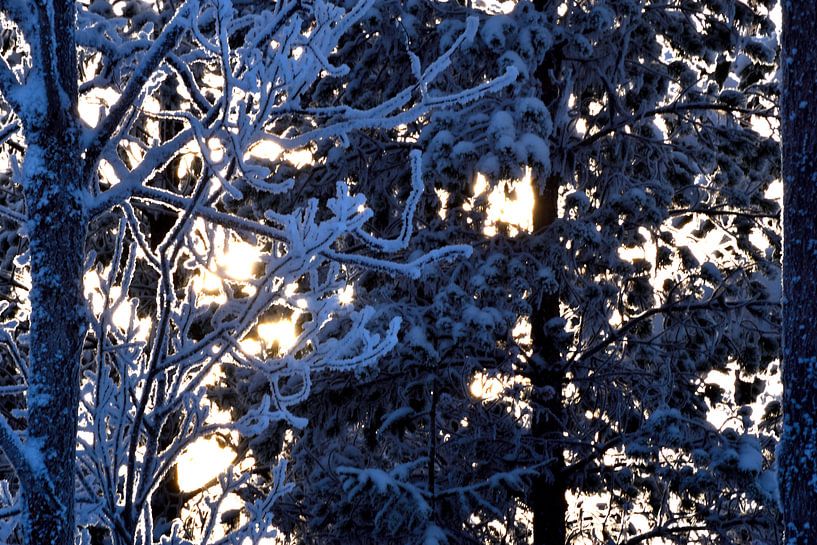 Hiding sun by Christer Andersson