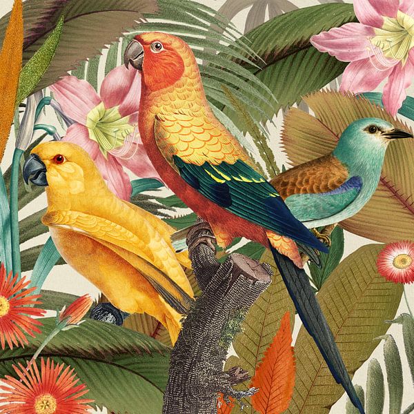 All Pretty Birds by Marja van den Hurk