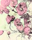 Flowers Botany Retro Look by Mad Dog Art thumbnail