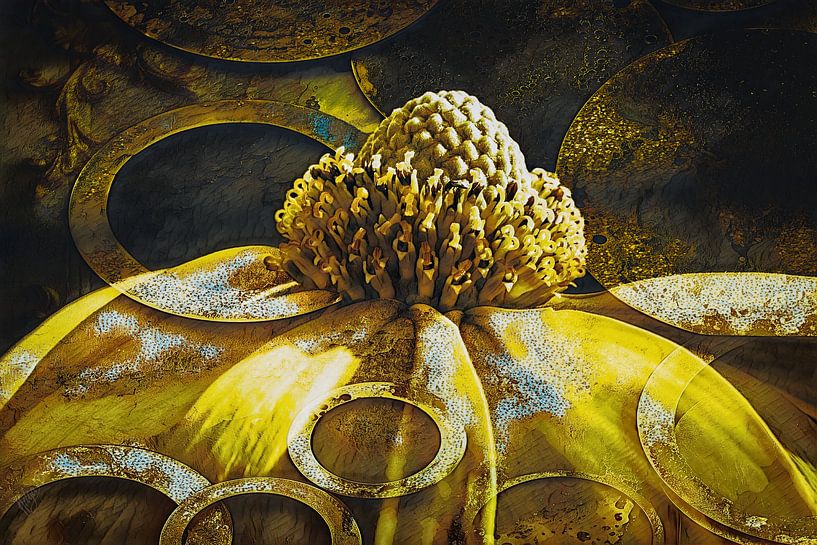 L'échinacée en fer doré par Helga Blanke