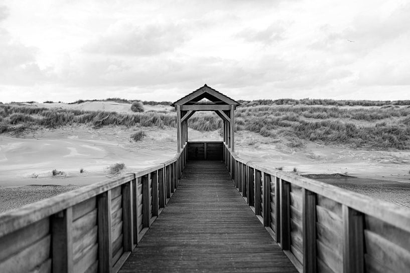 Pont avec de belles dunes. Photographie en noir et blanc par Frank van Hulst