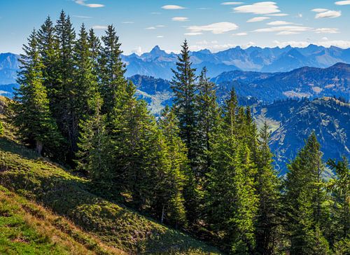 Panorama de montagne dans l'Allgäu, vue du Hochgrat