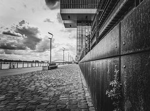 Kranhäuser im Rheinauhafen