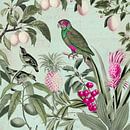 Parakeet in tropical paradise by Andrea Haase thumbnail