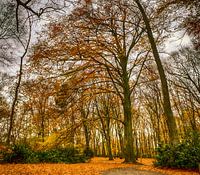 Herfst