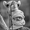 Sahara Desert. Man from the Tuareg tribe and camel. by Frans Lemmens