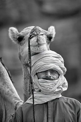 Sahara Desert. Man from the Tuareg tribe and camel.