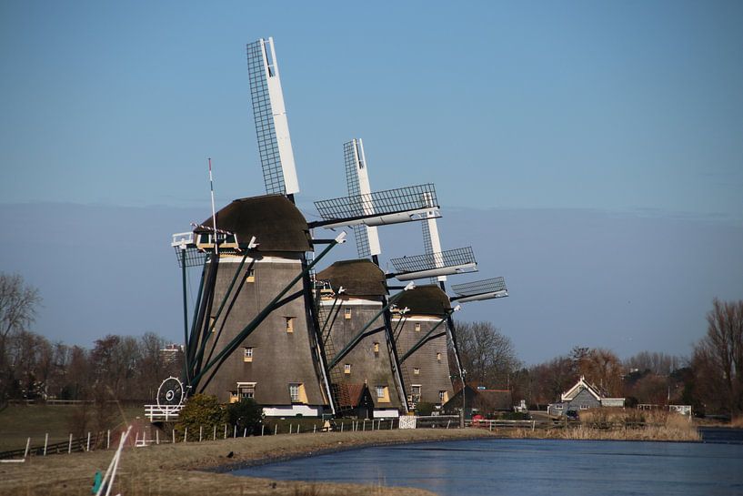 Drie windmolens van Stompwijk van André Muller