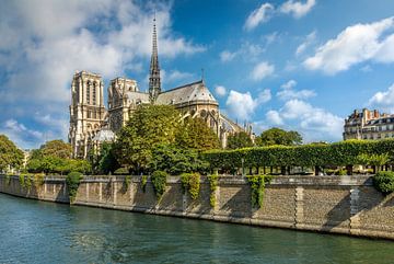 Kathedraal Notre Dame aan de Seine, Parijs van Christian Müringer