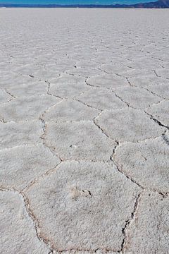 Zoutvlakte van Salinas Grandes in Salta, Noord Argentinië, Zuid-Amerika van WorldWidePhotoWeb