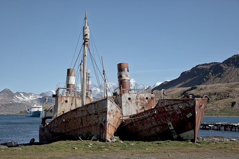 Alte Walfänger in Grytviken, Süd Georgien von Angelika Stern