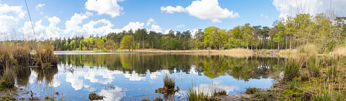 Woensdrechts Ven in Breed Panorama Perspectief