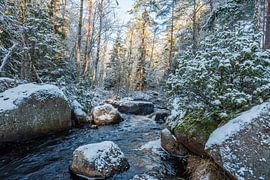 Suède 0129 sur Geertjan Plooijer