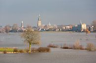 Zone inondable de Zutphen sur Jim van Iterson Aperçu