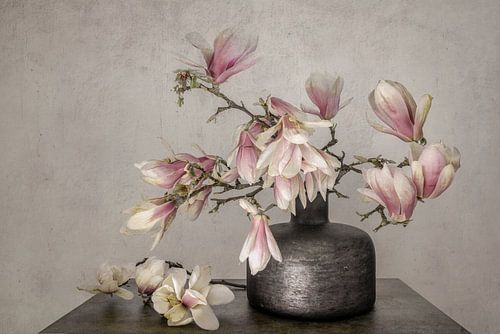 Stilleven met bloemen. Magnolia. Roze. Lente.