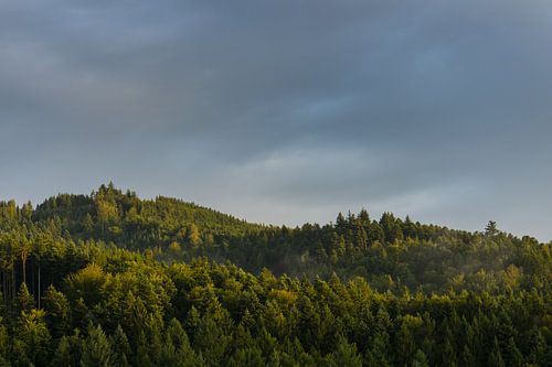 Duitsland, Zwarte Woud, Freiburg, Zonnige ochtendsfeer