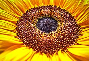 Beauty of nature