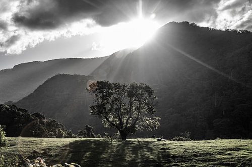 New South Wales, Australie