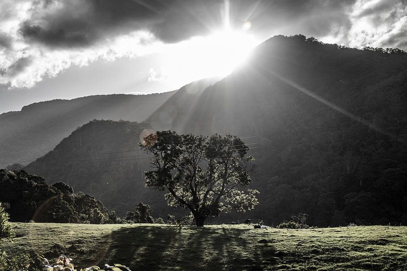 New South Wales, Australie par Willem Vernes