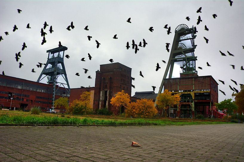 Ewaldbirds van Edgar Schermaul