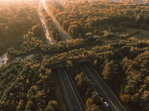 Ökodukt über eine Autobahn in der Veluwe