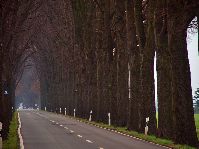 Road van Edgar Schermaul