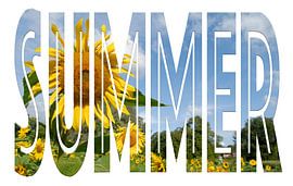 Summer by Richard Wareham