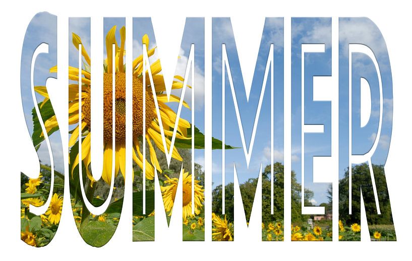 Summer van Richard Wareham
