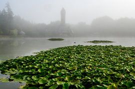 Nebliger Morgen von John Goossens Photography