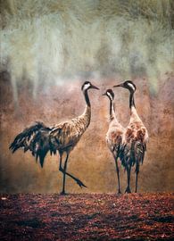 Meeting between three. by Karl Andrén