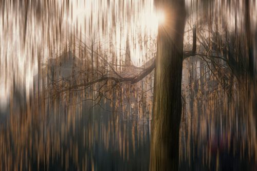 Symfonie van Licht en Tijd (Gouden Lichtregen)