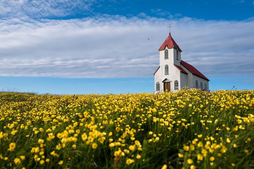 Een romantisch klein kerkje omgeven door zonnebloemen op een klein eiland in IJsland van Koen Hoekemeijer