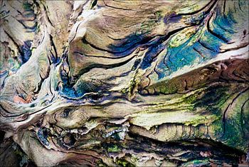 Abstract transience.