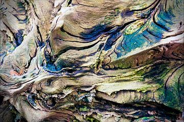 Abstract transience. by Wim van Diem