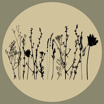 Scandinavian Meadow Minimalist Wildflowers in Sage Green no. 5 by Dina Dankers