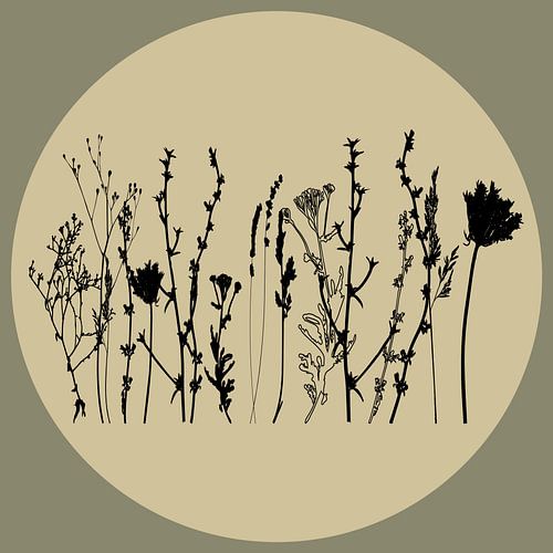 Scandinavian Meadow Minimalist Wildflowers in Sage Green nr. 5
