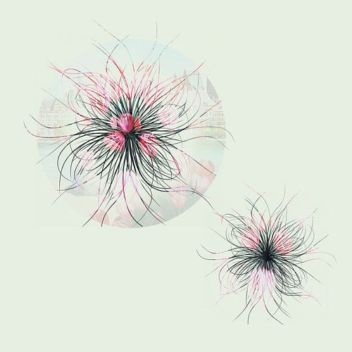 Tulipes abstraites minimalistes