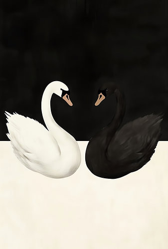 Tegenstanders: Black White Swans