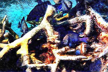 Vis en koraal Cluster 4 van Dorothy Berry-Lound